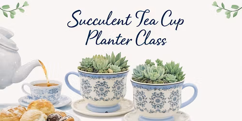 Succulent Tea Cup Class