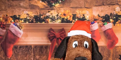 Meet and Greet with Santa Paws!