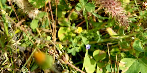 Intro to Permaculture \u2013 As a Practical Application