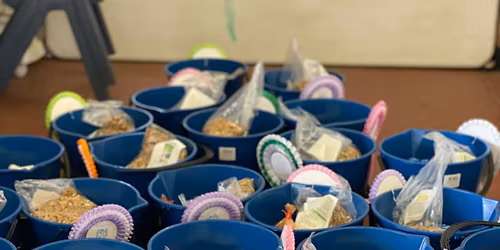 Murray HPC Dressage and Showjumping Day