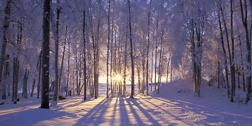 Winter Solstice Meditation & Gentle Yoga