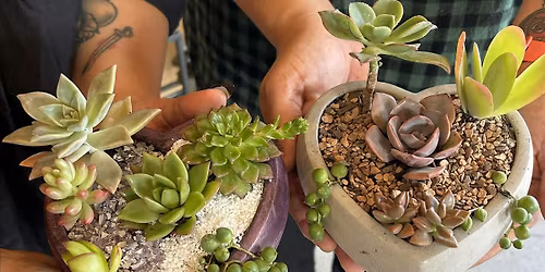 Cinco De Mayo Planting Party