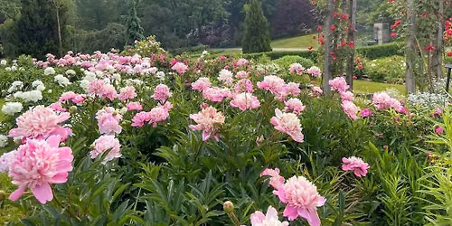 Wildwood Garden Club Meeting: \u201cThe Lantern Court Estate: A Century of Gardening and Local Legacy\u201d