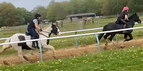 \ud83c\udfc7 Gallops at the Northern Racing College \ud83c\udfc7