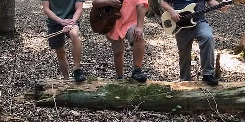 Live Music - Olde Virginia Company