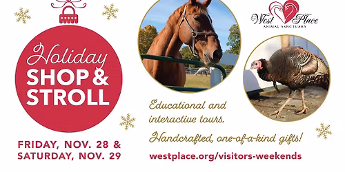 Holiday Shop & Stroll