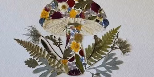 Outdoor Nature Art & Creative Reflection