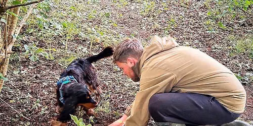 Truffle Hunting Experience