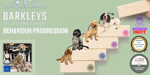 Behaviour Progression Course