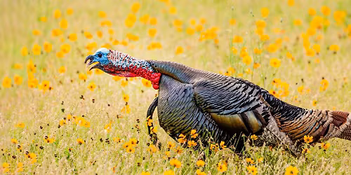 Salty Spur Banquet (Hutchinson\/McPherson)