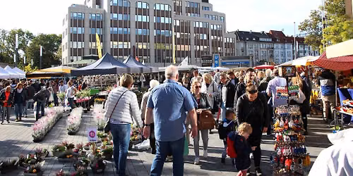 Bauernmarkt und Hollandmarkt
