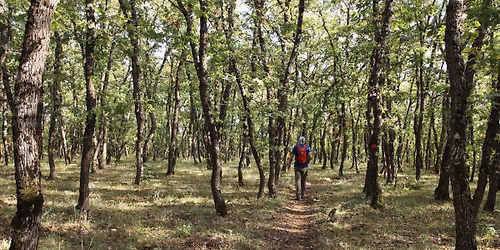 \u0395\u03be\u03cc\u03c1\u03bc\u03b7\u03c3\u03b7 \u03c3\u03c4\u03bf \u03b4\u03ac\u03c3\u03bf\u03c2 \u039c\u03bf\u03c5\u03b3\u03b3\u03bf\u03c3\u03c4\u03bf\u03cd