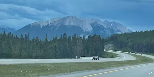 The Winter Festival of Lights; Featuring Betty\u2019s Restaurant