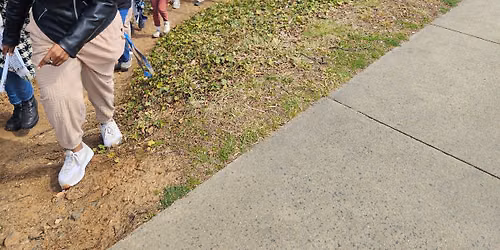Neighborhood Walk: Locust Grove