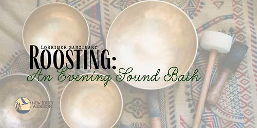 Roosting: An Evening Sound Bath