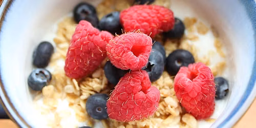 Make Your Own Yogurt Workshop