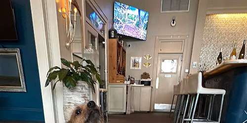 Puppies and Pilates Adoption Event