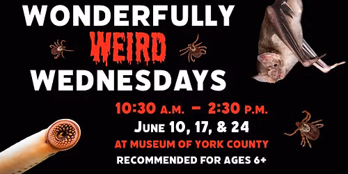 Wonderfully Weird Wednesdays
