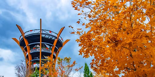 \ud83c\udf04\ud83c\udf3fAnakeesta Adventure Getaway in Gatlinburg, TN $99 Per Couple