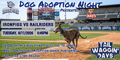 Linda Ann's Greyhound Adoption @ Coca-Cola Park