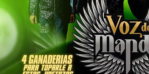 JARIPEO BAILE CON VOZ DE MANDO