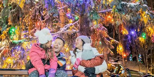 Lionshead Tree Lighting