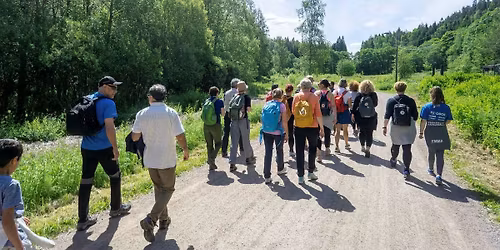 Internasjonal g\u00e5tur rundt Ulsrudvannet