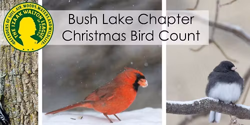 Bush Lake Christmas Bird Count