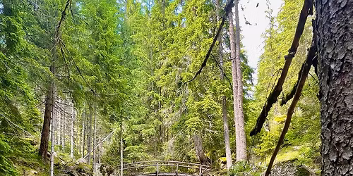 \u041d\u0435\u0432\u0435\u0440\u043e\u044f\u0442\u043d\u043e \u043a\u0440\u0430\u0441\u0438\u0432\u0438 \u043f\u044a\u0442\u0435\u043a\u0438 \u0434\u043e \u0432\u043e\u0434\u043e\u043f\u0430\u0434\u0438 \u0432 \u0420\u043e\u0434\u043e\u043f\u0438\u0442\u0435! \u041b\u0435\u043a\u0438 \u0440\u0430\u0437\u0445\u043e\u0434\u043a\u0438 \u0437\u0430 \u043d\u0430\u0447\u0438\u043d\u0430\u0435\u0449\u0438 \u043e\u0442 \u0412\u0430\u0440\u043d\u0430 \u0438 \u0411\u0443\u0440\u0433\u0430\u0441!