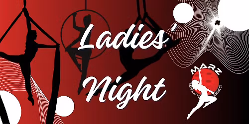 January Ladies' Night at the Aerial Studio