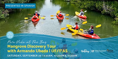 Kayak Mangrove Discovery Tour | Excursion en kayak por los manglares (Presented in Spanish)