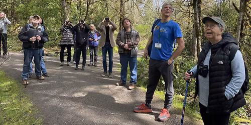 Breakfast with the Birds