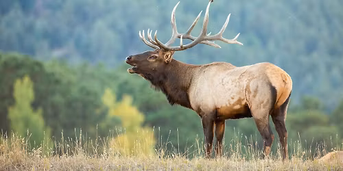 Reno Chapter Big Game Banquet