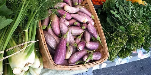 Farm Tour and Luncheon