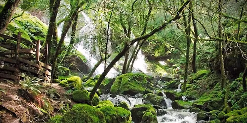 Big Hike Saturday: Famous Cataract Falls!