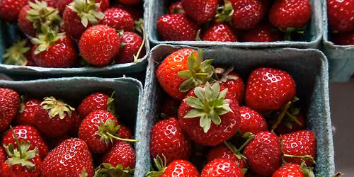 Strawberry Jam at the Saratoga Farmers' Market
