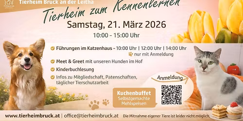 Tierheim zum Kennenlernen 