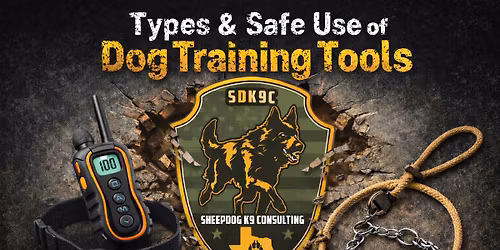 Types & Safe Use of Dog Training Tools