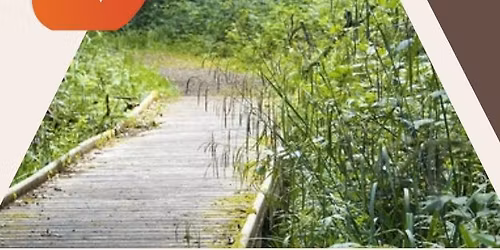 5\u00e8me \u00e9dition du TRAIL DU MONT RENARD