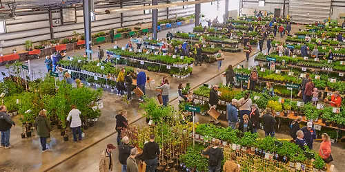 Arbor Day Plant Sale