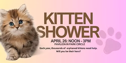 Kitten Shower