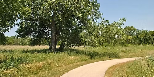 Stewardship Saturdays: Heritage Woodland Sanctuary Cleanup