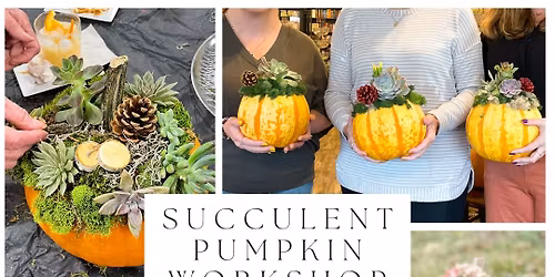 Succulent Pumpkins at Sonder Brewing Taphaus