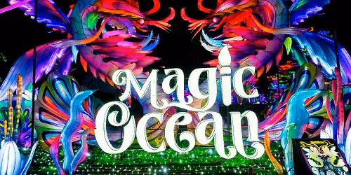 PARKING Tianyu Lights Festival with Marcus Miller