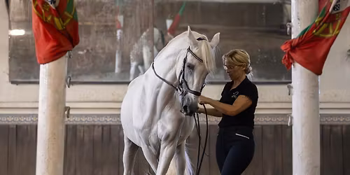 Sofia Valença - classical dressage clinic 