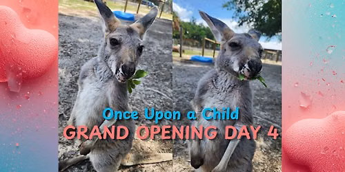 Shop with a Kangaroo at Once Upon a Child!