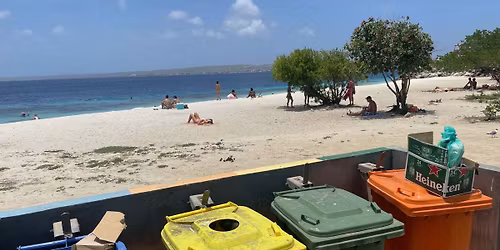 Anne Berg: Garbage Trouble in Paradise