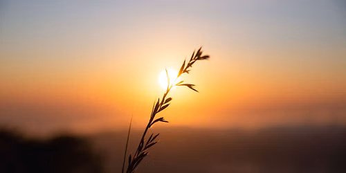 Transform Your Life with Meditation