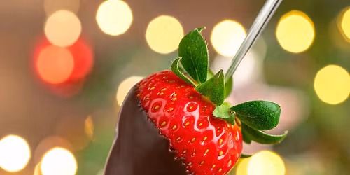 Open for Lunch in December