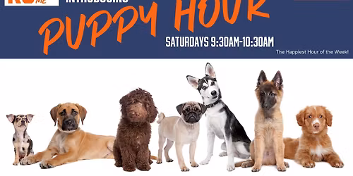 K9 NEWARK Puppy Hour